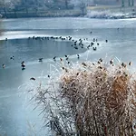 Adal-berht Apartament