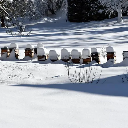 Adal-berht Saint-Maximin (Isere)