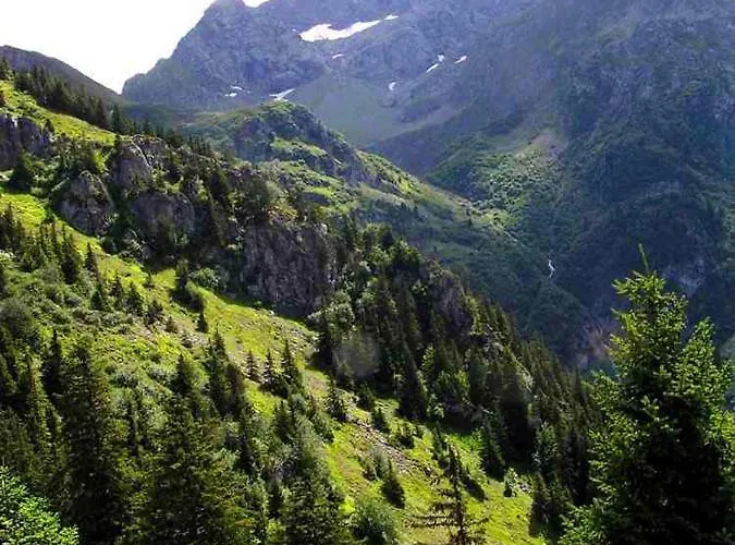Adal-berht