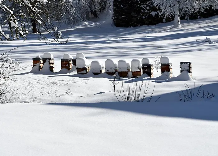 Adal-berht Saint-Maximin (Isere)