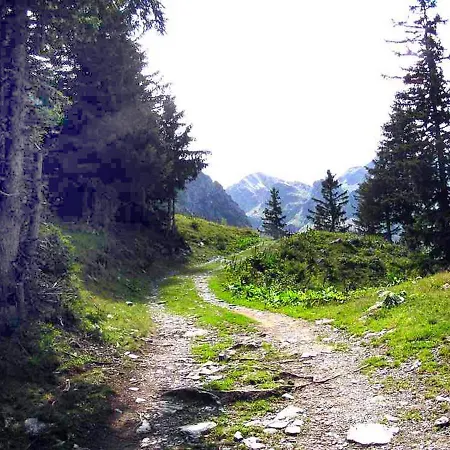 Adal-berht Апартаменты Saint-Maximin (Isere)